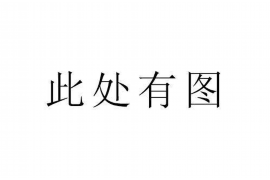 南充为什么选择专业追讨公司来处理您的债务纠纷？